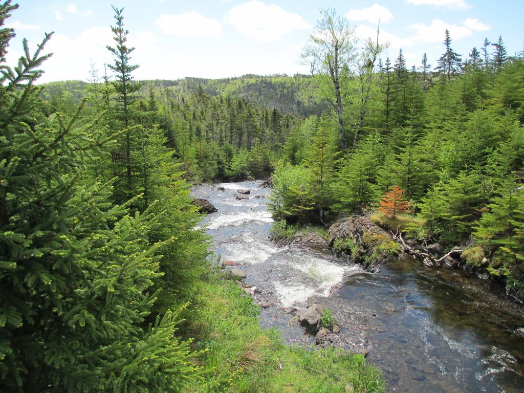 The Wilds At Salmonier River Holyrood ภายนอก รูปภาพ